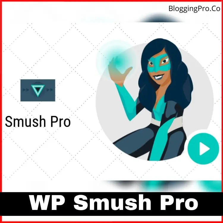 Smush plugin untuk optimasi gambar